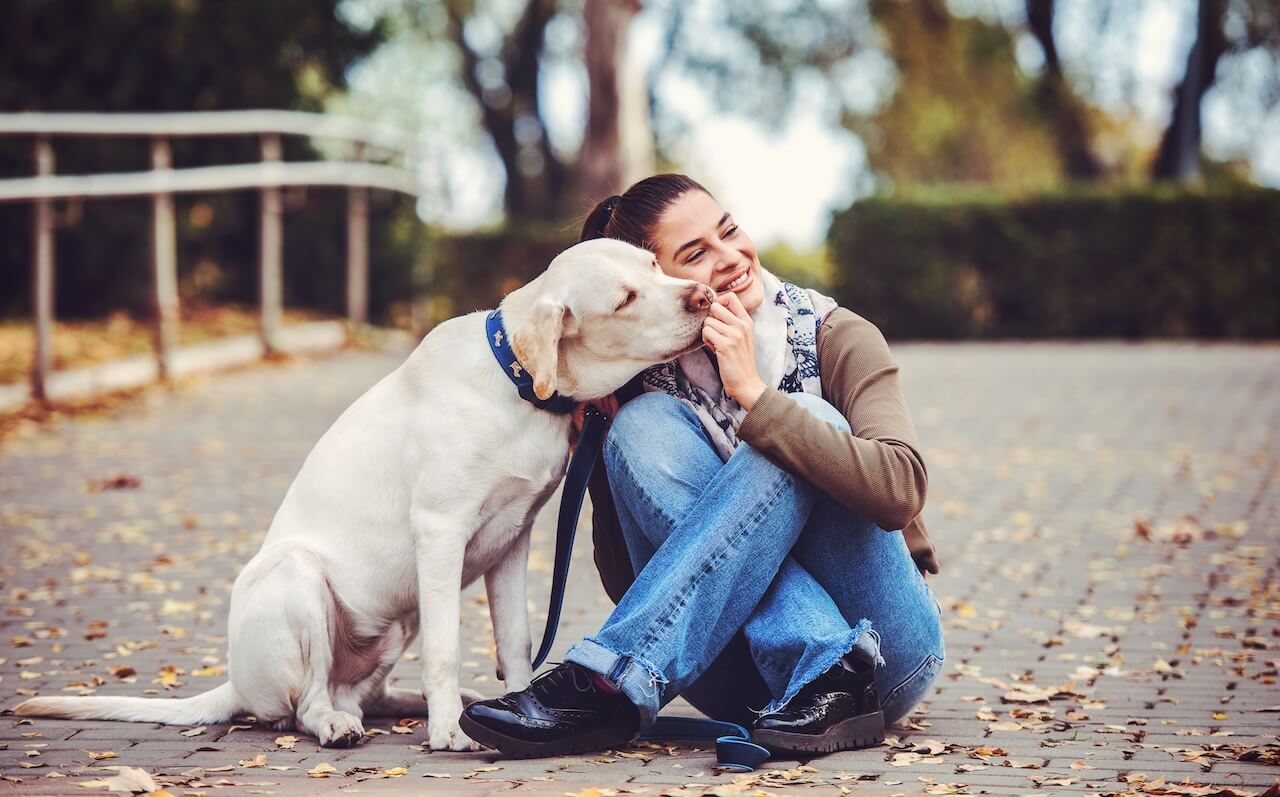 Romsey Veterinary Surgery Romsey Australia 11